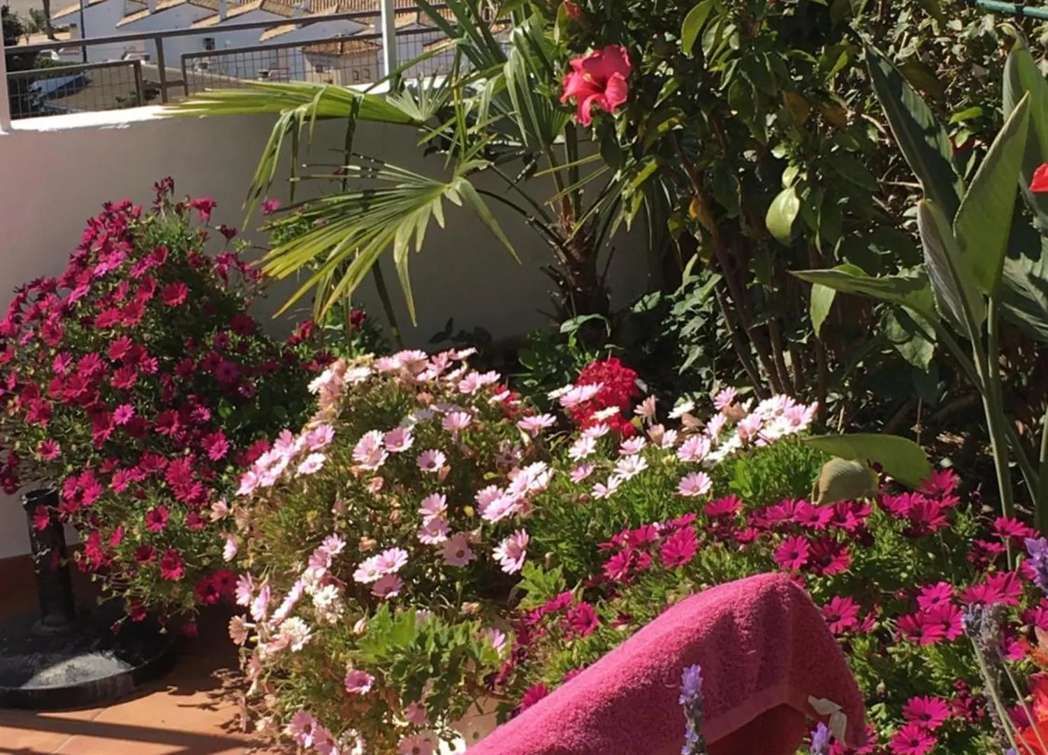 La Casa Gabriela Lejlighed Velez Malaga